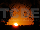 Costa del Este